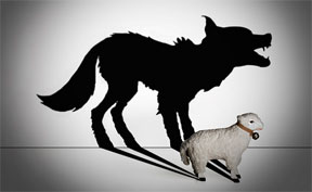 wolf sheep shadow